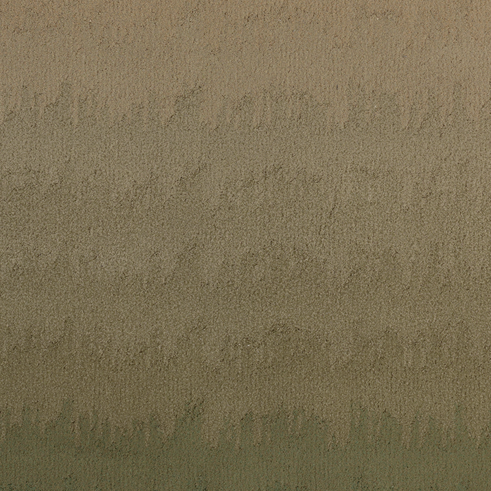 DIFFUSE ECO CORAL REEFS