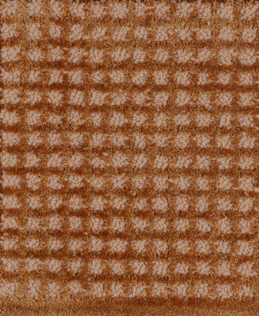 Sentosa Kusu Apricot