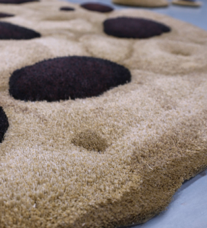 Cookie